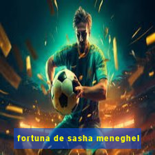 fortuna de sasha meneghel